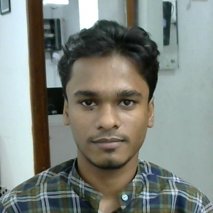 আলী হোসেন